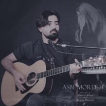 دانلود آهنگ جدید علیرضا ظریف به نام اسب مرده